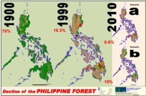 decline of the Philippine forest