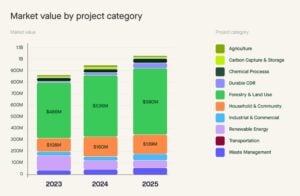 carbon credits grassland south africa
