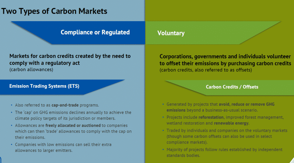 Two types of carbon market